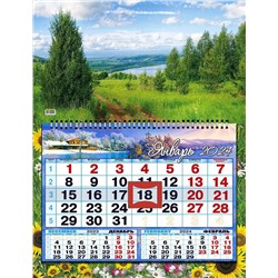 Календарь_Настенный_На пружине одноблочный с курсором    Оспец242-24