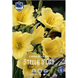 Лилейник Стелла д'Оро (Stella d'Oro), 3 шт