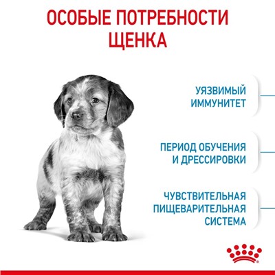 Сухой корм RC Medium Puppy для щенков, 3 кг