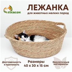 Экологичный лежак для животных (хлопок+рогоз),  40 х 30 х 15 см,