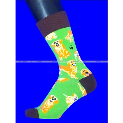 Nice Socks (AMIGOBS) ЦВЕТНЫЕ ВЫСОКИЕ НОСКИ на вешалке арт. 2208