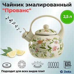 Чайник эмалированный 2,5л со свистком "Прованс" EM-1317
