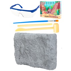 Набор археолога "Паук"камень,4 инструмента,книжка,очки,маска И-5869 в Самаре