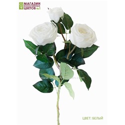 Роза пионовидная 3 бутона - белый