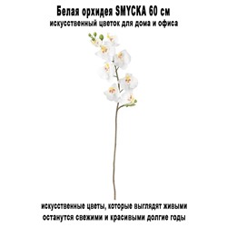 Орхидея SMYCKA 60 см