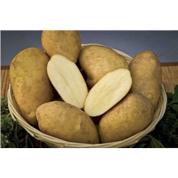 Картофель семенной Удача (2 кг)