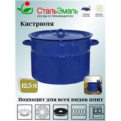 Кастрюля 12,5л цил. 2с300 син. с зерн.