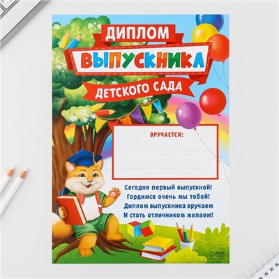 Подарочный набор «ВЫПУСКНИКА детского сада»: расписание уроков,медаль с лентой, линейка,магнитные закладки 2 шт, блокнот-раскраска А6.32 листа, наклейки, диплом выпускника .