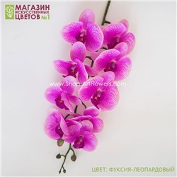 Орхидея фаленопсис "Жозель" (9 цветков) - 7 расцветок - фуксия-леопардовый