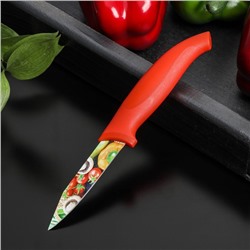Нож с антиналипающим покрытием Доляна «Урожай», овощной, лезвие 8 см