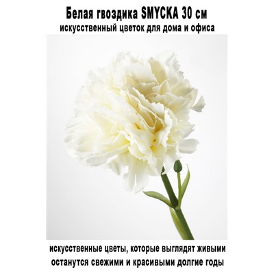 Гвоздика SMYCKA 30 см