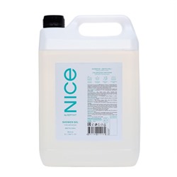 Гель для душа NICE by SEPTIVIT Arctic Chill, 5 л