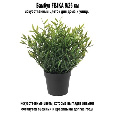 Бамбук FEJKA 9-26 см