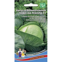 Семена Капуста белокочанная Чудо на рекорд F1 (УД)