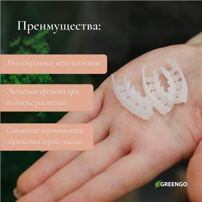 Кистедержатель «Улитка», 4 см, набор 50 шт., Greengo