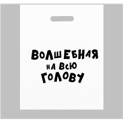 Пакет полиэтиленовый с вырубной ручкой, «Волшебная на всю голову» 31х40 см, 60 мкм