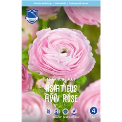 Ранункулюс азиатский Авив Пинк (Ranunculus Aviv PINK), 15 шт (разбор 7/8)