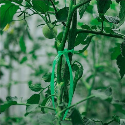 Шпагат для подвязки растений, 50 м, полипропилен, зелёный