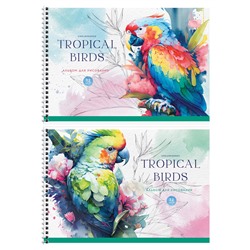 Альбом для рисования ArtSpace 32л. на спирали "Птицы. Тропические птицы" (А32сп_51134) обложка картон