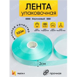 Лента простая 2/100 К бирюзовый