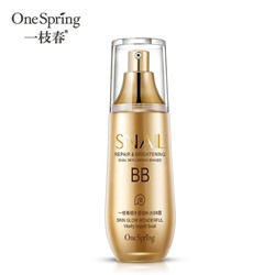 Водостойкий тональный ВВ-крем с муцином улитки One Spring Snail Skin Leading Brands BB Cream, 40мл