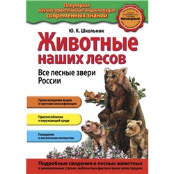 Животные наших лесов. Все лесные звери России. Школьник Ю.К.