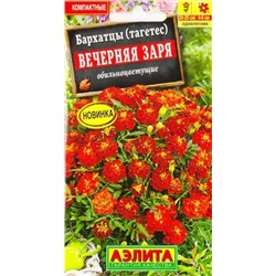 Бархатцы Вечерняя заря (Код: 85540)