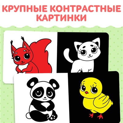 Картонная книга для новорожденных «Контрастные картинки», 10 стр., 0+