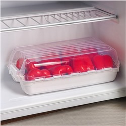 Контейнер для холодильника, размер контейнера с крышкой 32×18×10,5 см