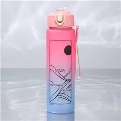 Бутылка для воды «Источник жизни», 700 мл