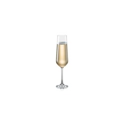 Набор бокалов для шампанского Tescoma Giorgio, 200 мл, 6 шт