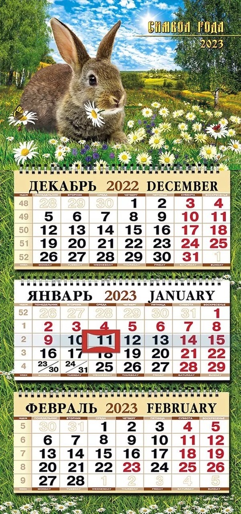 Календарь Настенный 2023 Эротика Купить