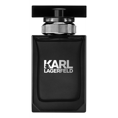 KARL LAGERFELD edt (m) 100ml TESTER