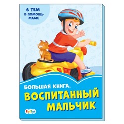 Васильковые книжки (F) - Большая книга. Воспитанный мальчик.
