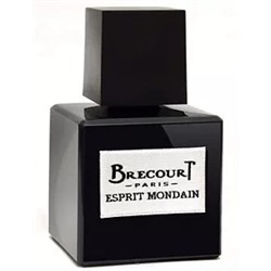 BRECOURT ESPRIT MONDAIN edp (m) 100ml TESTER