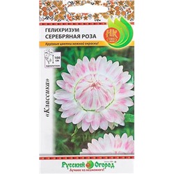 Гелихризум Серебряная роза (Код: 12352)