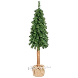 Настольная елка Canadian 80 см с натуральным стволом, ПВХ (Decorland)