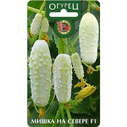 Огурец Мишка-на-Севере F1