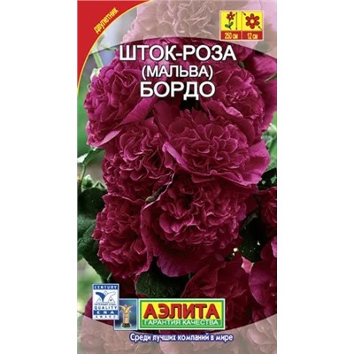 Шток-роза Бордо