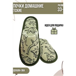 Детские тапки С-6ДМ(мл)-МР Динозавры