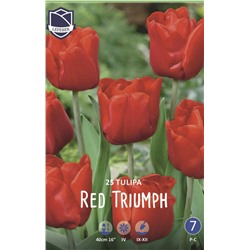 Тюльпан Ред Триумф (Tulipa Red Triumph), 25 шт (разбор 11/12)