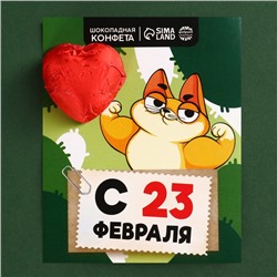 Конфета шоколадная на открытке «С 23 Февраля», 15 г.
