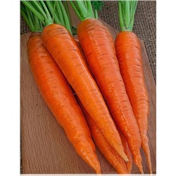 Морковь Канада  F1  0,5 гр цв.п.