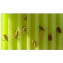 Матрасик для семян "Лабиринт" большой 22х28 см (2 шт)