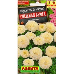 Бархатцы Снежная вьюга (Код: 84889)