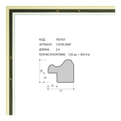 Багет пластиковый 17х15 1707B-094F /уп 365,4м/