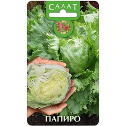 Салат Папиро, кочанный, 20 шт семян