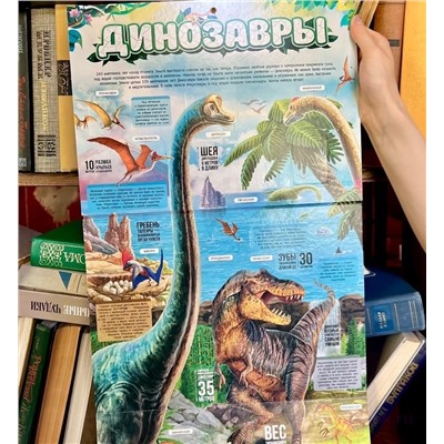 Плакат с окошками. Динозавры