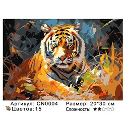 CN0004 Картины по номерам 20*30 цвет.холст