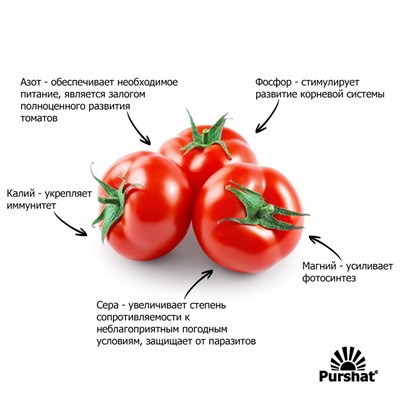 Пуршат-М концентрат для томатов